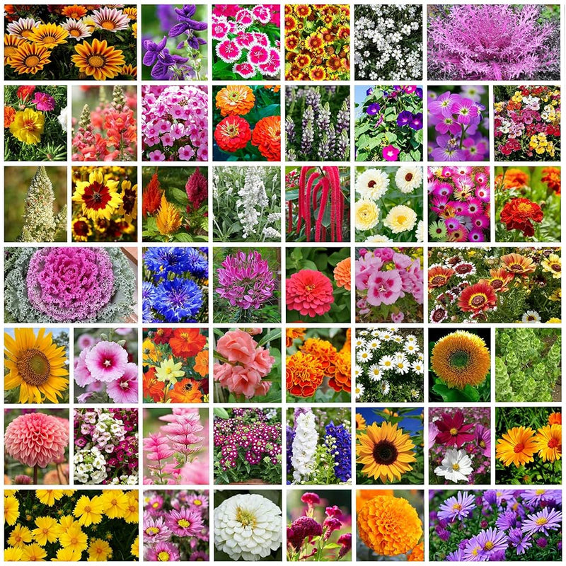 Mix Flower Seeds Bank (50 seed varieties)