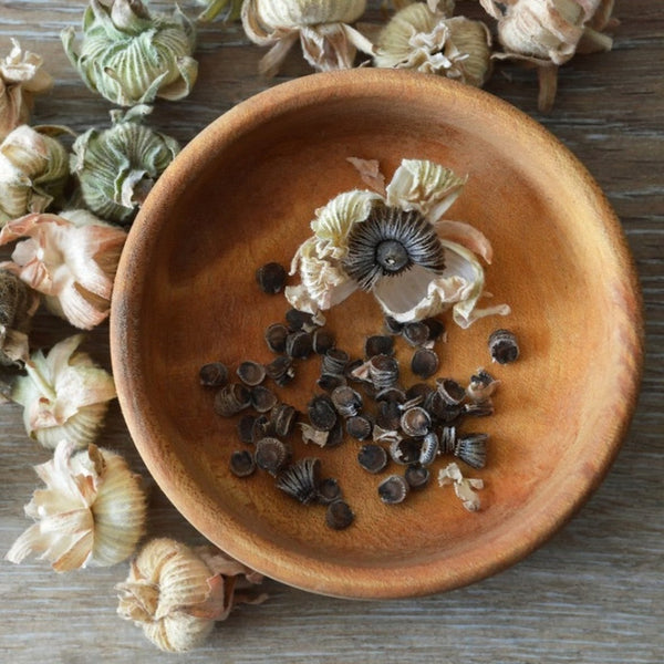 Hollyhock Mix Seeds