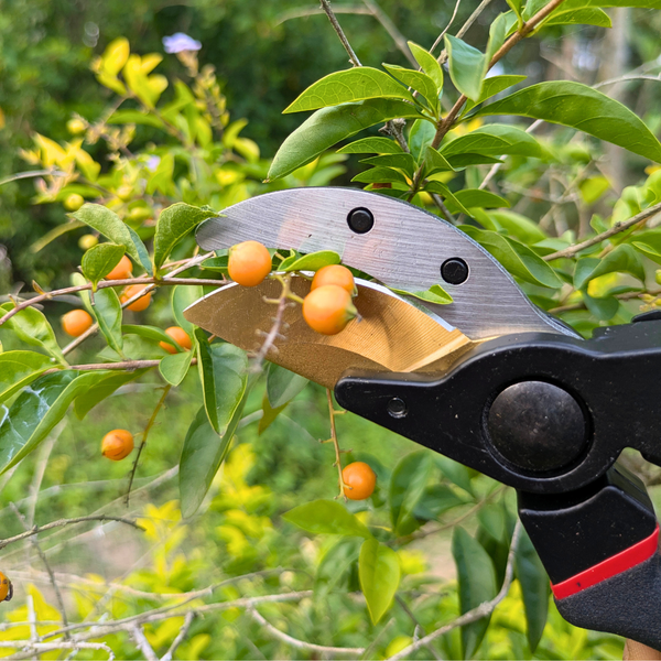 Paankhuri™ PruneMaster