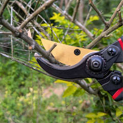 Paankhuri™ PruneMaster