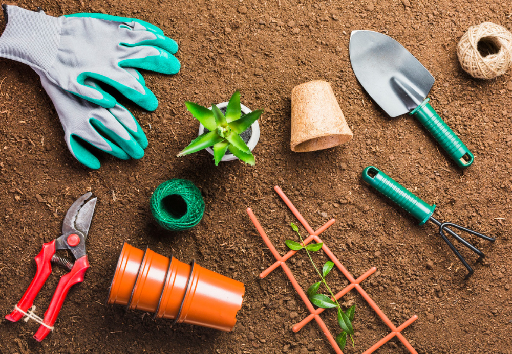5 Essential Tools For New Gardeners