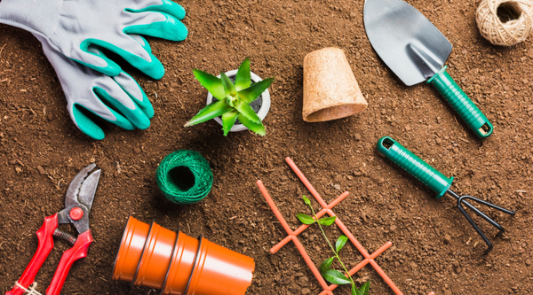5 Essential Tools For New Gardeners