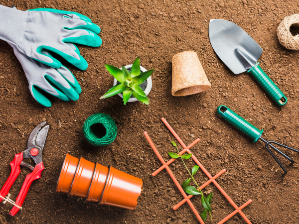 5 Essential Tools For New Gardeners