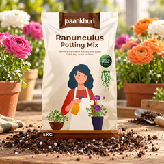 Ranunculus Potting Mix