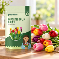 Imported Tulip Bulbs