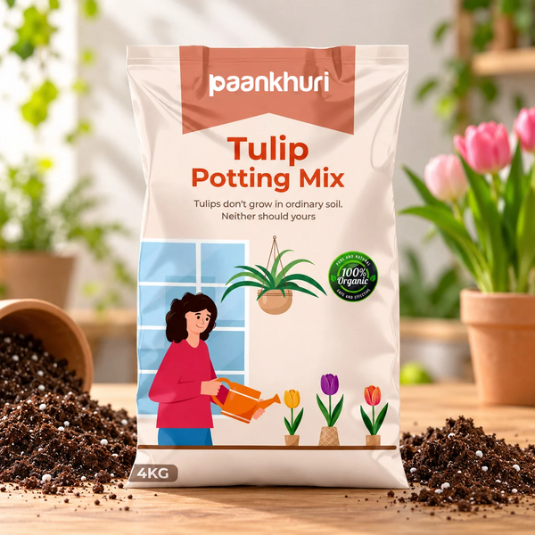 Tulip Potting Mix