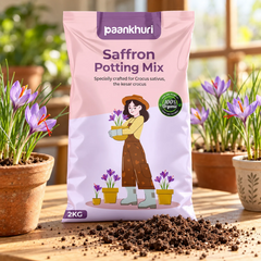 Saffron Potting Mix