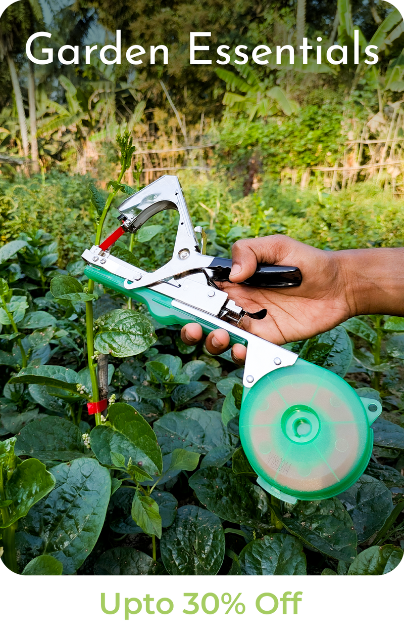 Garden Essentials