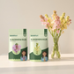 Rare Colour Rajnigandha Bulbs