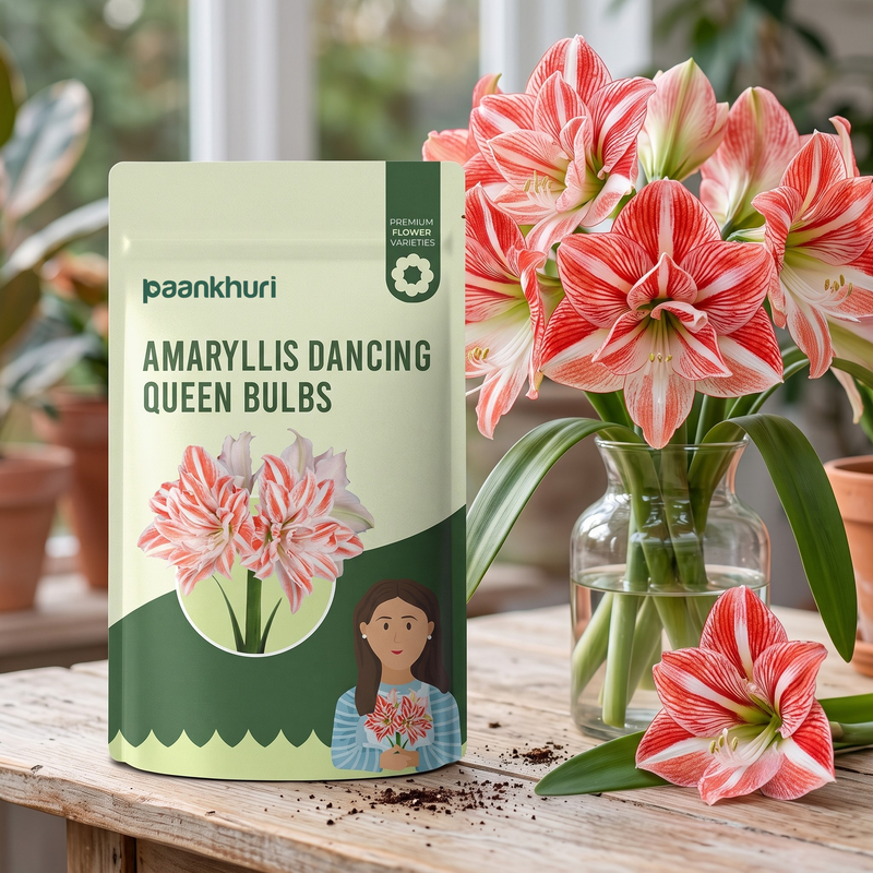 A pouch of Paankhuri Amaryllis Dancing Queen Bulbs stands on a wooden table beside a glass vase of blooming pink-and-white amaryllis flowers, with a single flower resting nearby and soil scattered on the table.