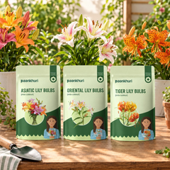 Three stand-up pouches of Paankhuri Lily Bulbs arranged on a wooden table, with potted lilies and garden plants in the background. The pouches are labeled Asiatic Lily Bulbs, Oriental Lily Bulbs, and Tiger Lily Bulbs.