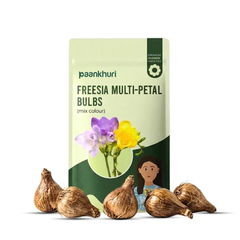Freesia Multi-Petal Bulbs
