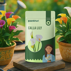 Calla Lily Flowers Bulbs - Mix Colour