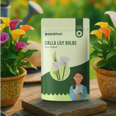 A stand-up pouch of Paankhuri Calla Lily Bulbs (mix color) is displayed on a wooden block, flanked by potted calla lilies in a garden setting.