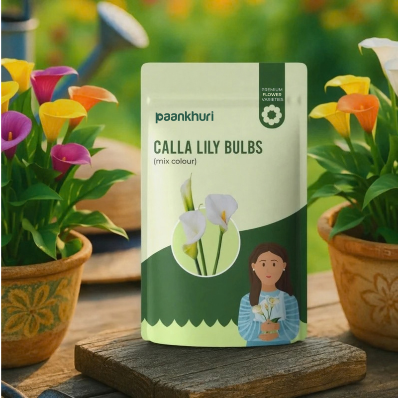 A stand-up pouch of Paankhuri Calla Lily Bulbs (mix color) is displayed on a wooden block, flanked by potted calla lilies in a garden setting.