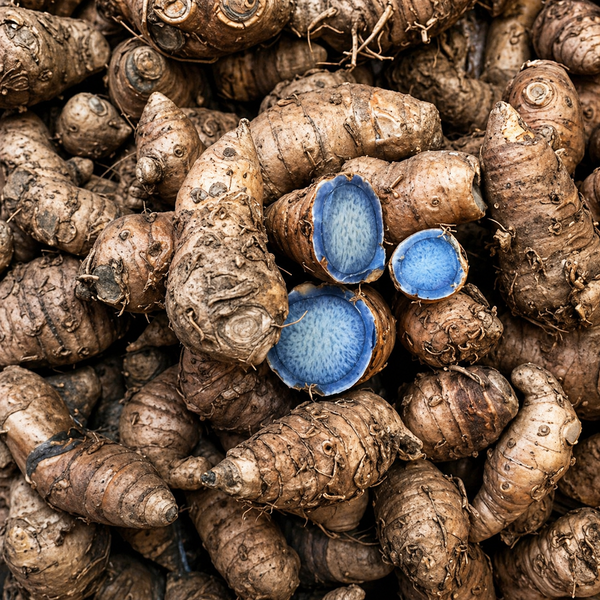 Black Turmeric Bulb