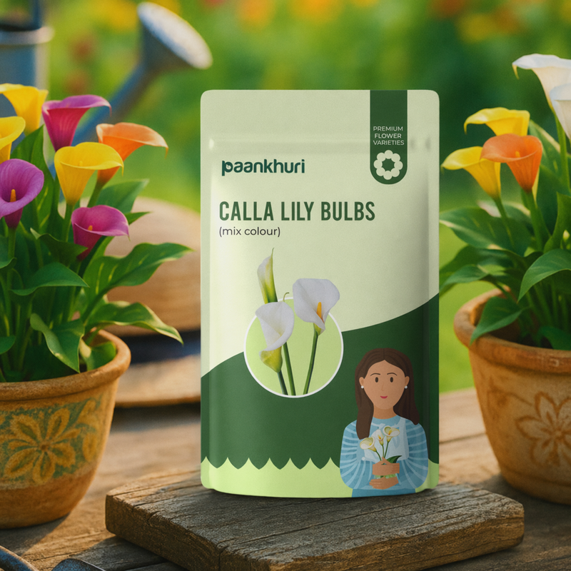 Calla Lily Bulbs