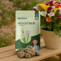 Calla Lily Bulbs