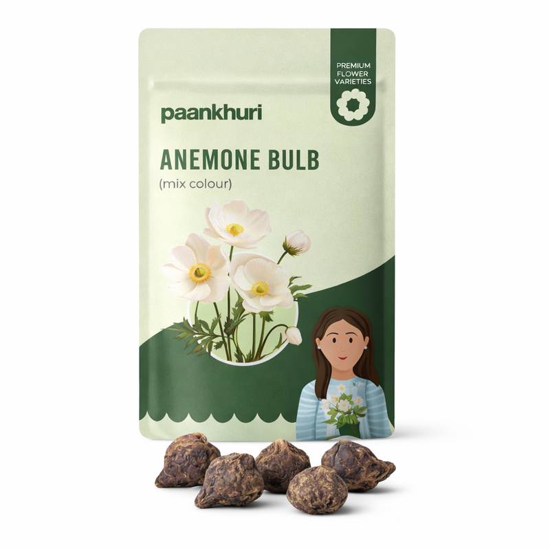 Anemone Bulbs