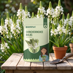 A stand-up pouch of Paankhuri Chincherinchee Bulbs (white colour) is displayed on a wooden table, flanked by blooming white flowers and gardening props like a terracotta pot and trowel.