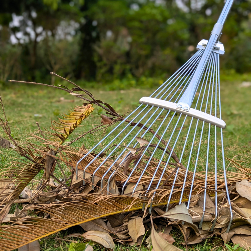 Rake collecting dry leaves on a grassy area with blurred greenery in the background
