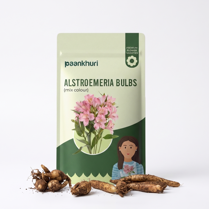 Alstroemeria Flower Bulbs