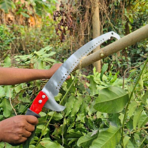 Person using a pruning saw to trim branches in a forest setting