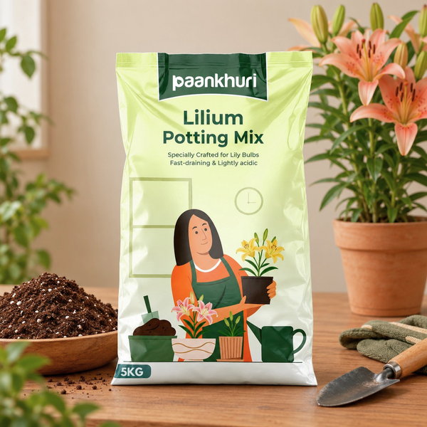 A 5kg bag of Paankhuri Lilium Potting Mix stands on a wooden table, flanked by a bowl of soil, gardening gloves, and a potted lily plant in the background.