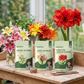 Three stand-up pouches of Paankhuri branded lily bulbs arranged on a wooden table with real flower arrangements and a blurred garden background. The packages are labeled Oriental Lily Bulbs, Asiatic Lily Bulbs, and Double Petal Amaryllis Lily Bulbs.