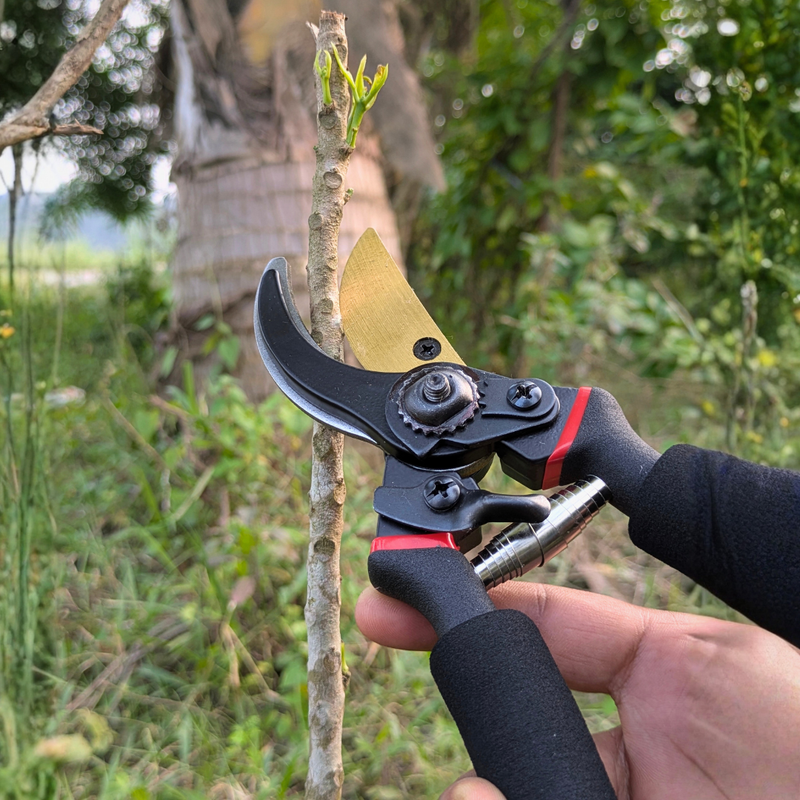 Pruning shears being used on a branch with a natural outdoor background
