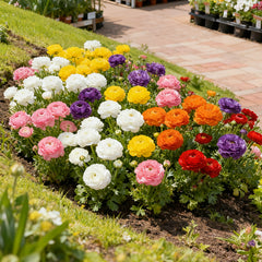 Colorful flower bed with various flowers including white, pink, yellow, purple, and red in a garden setting.