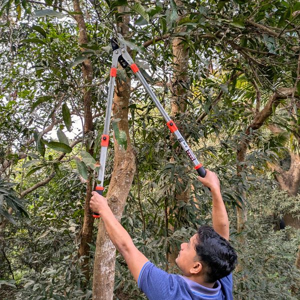 Person using a long-handled tool to trim branches in a forest setting