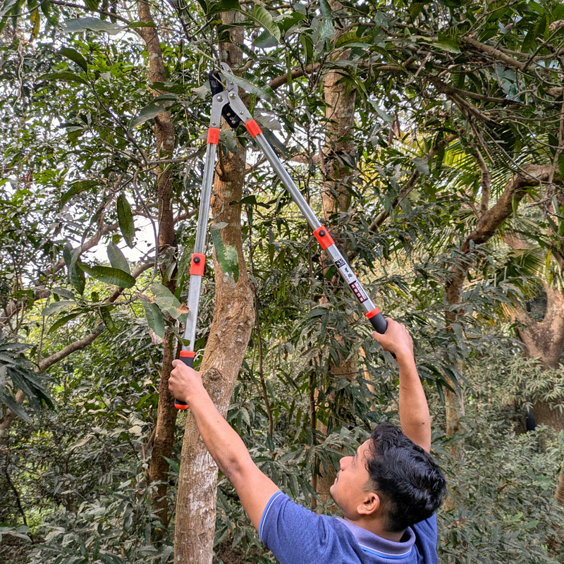 Person using a long-handled tool to trim branches in a forest setting