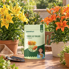 A stand-up pouch of Paankhuri Tiger Lily Bulbs stands on a wooden table outdoors, flanked by blooming yellow and orange tiger lilies in terracotta pots. A small gardening trowel rests on a burlap cloth to the left.