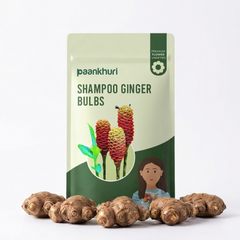 Shampoo Ginger Bulbs