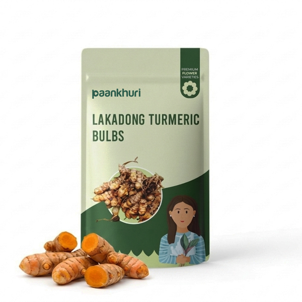 Lakadong Turmeric Bulbs