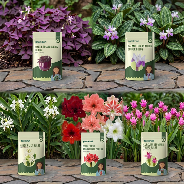 Exotic Summer Flower Bulbs Combo