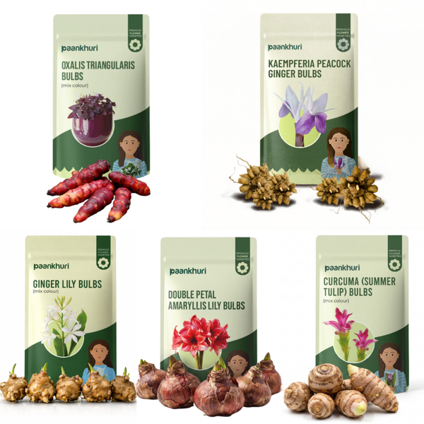 Exotic Summer Flower Bulbs Combo