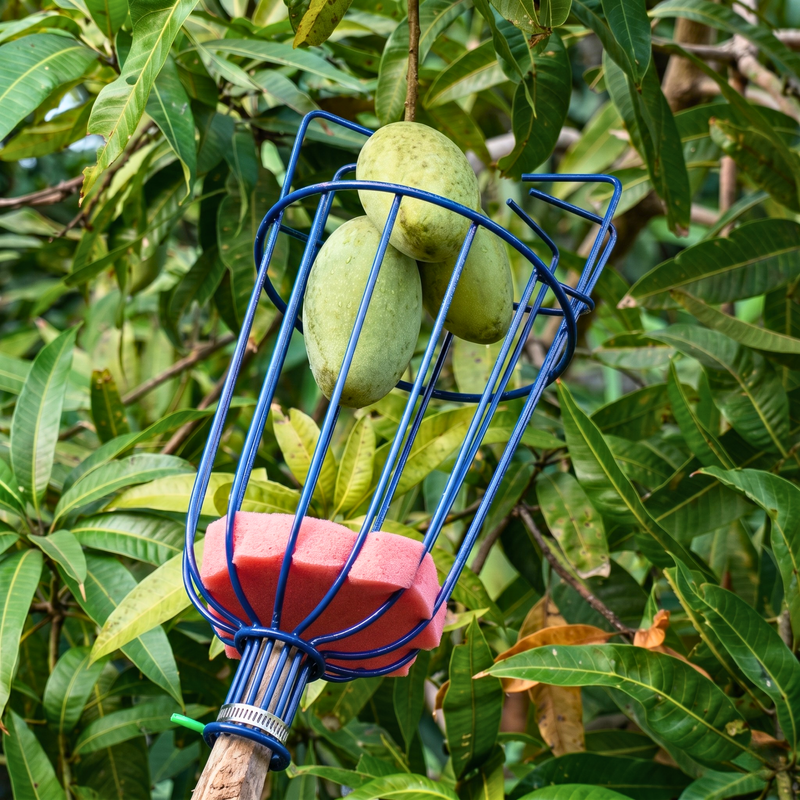 Adjustable Fruit Picker
