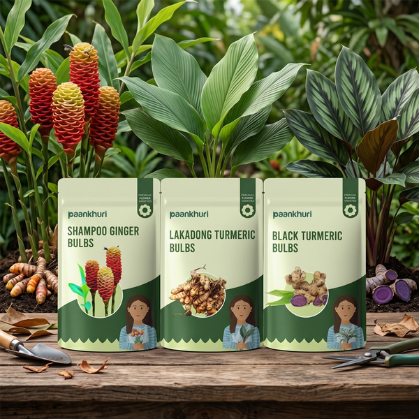 Medicinal Plant Bulbs Combo