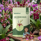 Nun Orchid Bulbs
