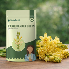 Double Petal Rajnigandha Bulbs