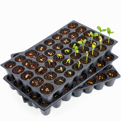 50 Cell Seed Starter Tray