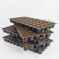 50 Cell Seed Starter Tray