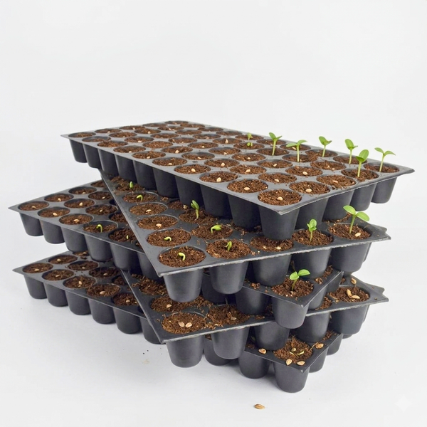 50 Cell Seed Starter Tray