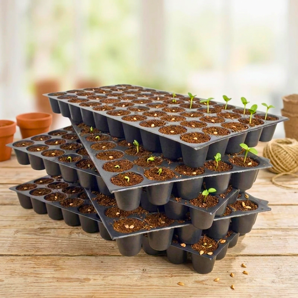 50 Cavities Seedling Trays