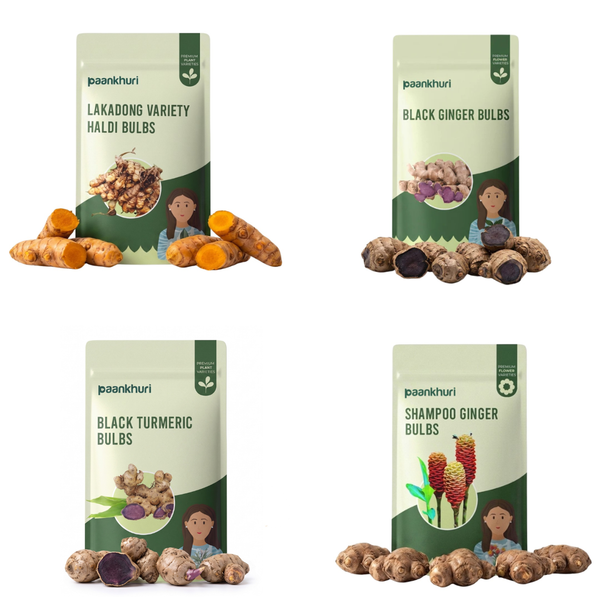 Medicinal Plant Bulbs Combo