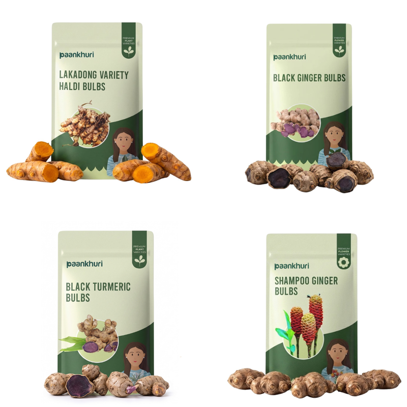 Medicinal Plant Bulbs Combo