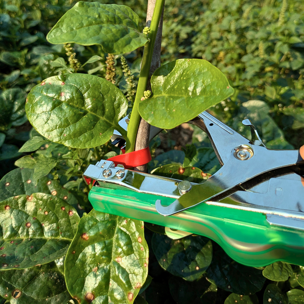 Plant Tying Machine
