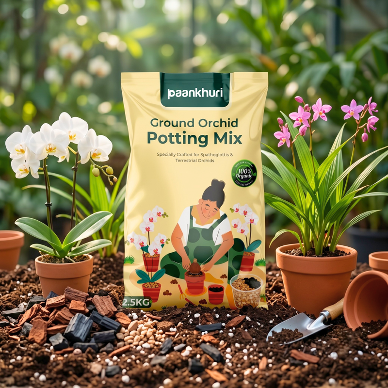 Ground Orchid Potting Mix